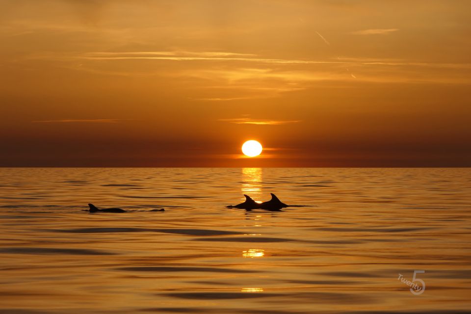 Cape Kamenjak: Guided Kayak Tours Snorkeling, Cave & Cliff - Exciting Experience Highlights