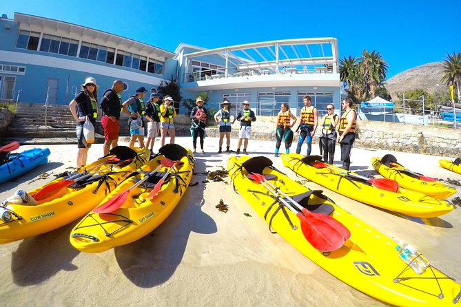 Cape Town: Sea Kayaking Near Penguins Tour - Guided Tour Details
