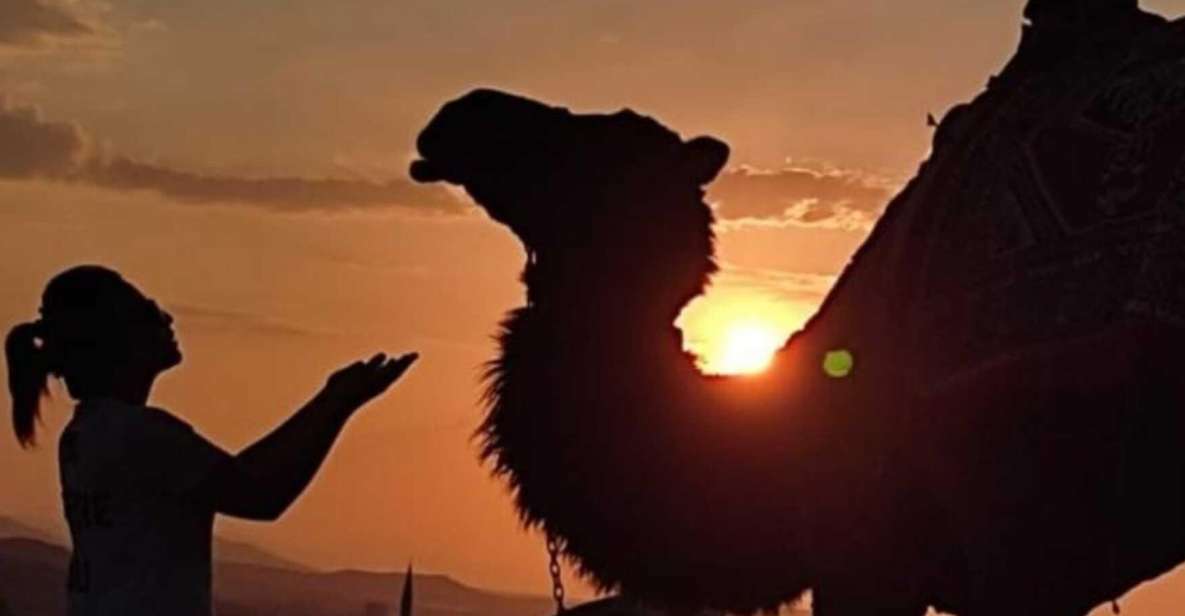 Cappadocia: Camel Riding (Sunrise Or Sunset Transfer) - Experience Description