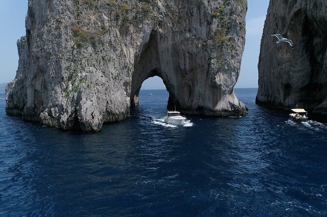 Capri Boat Tour From Sorrento - Speedboat 37ft - Itinerary for the Speedboat Tour