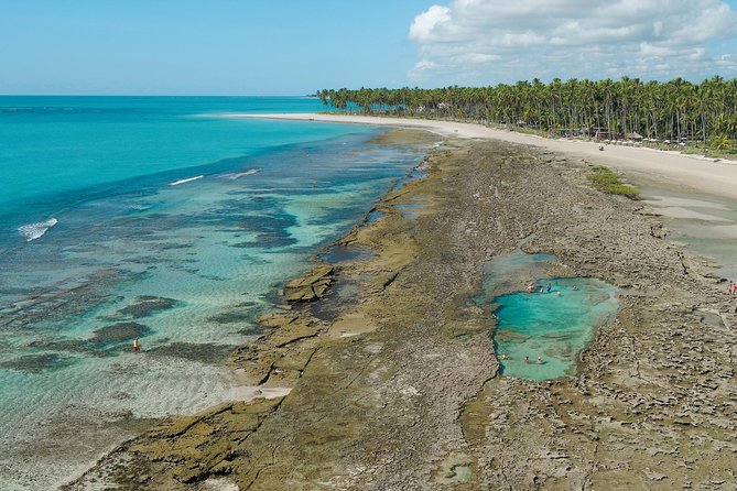 Carneiros Beach Tour From Maragogi With Costazul Turismo - Transportation Logistics