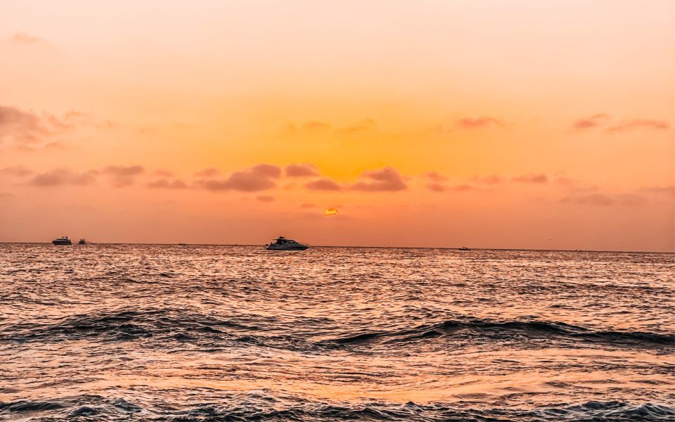 Cartagena: Barú Sunset Beach With Bioluminescent Plankton - Full Description