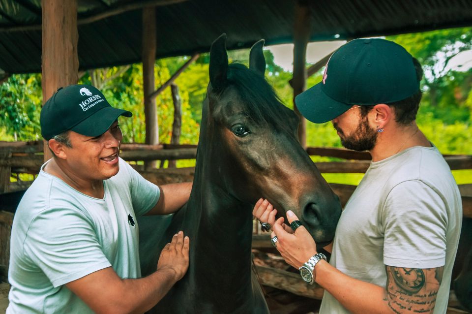 Cartagena: Beach Horse Ride and Colombian Horse Culture - Inclusions