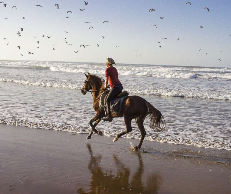 Cartagena: Beach Horseback Riding Tour at Sunset - Reservation Options