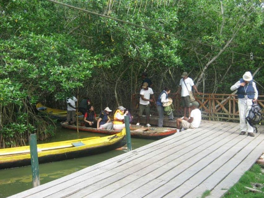 Cartagena, Colombia: Sail in the Mangrove in a Typical Canoe - Directions