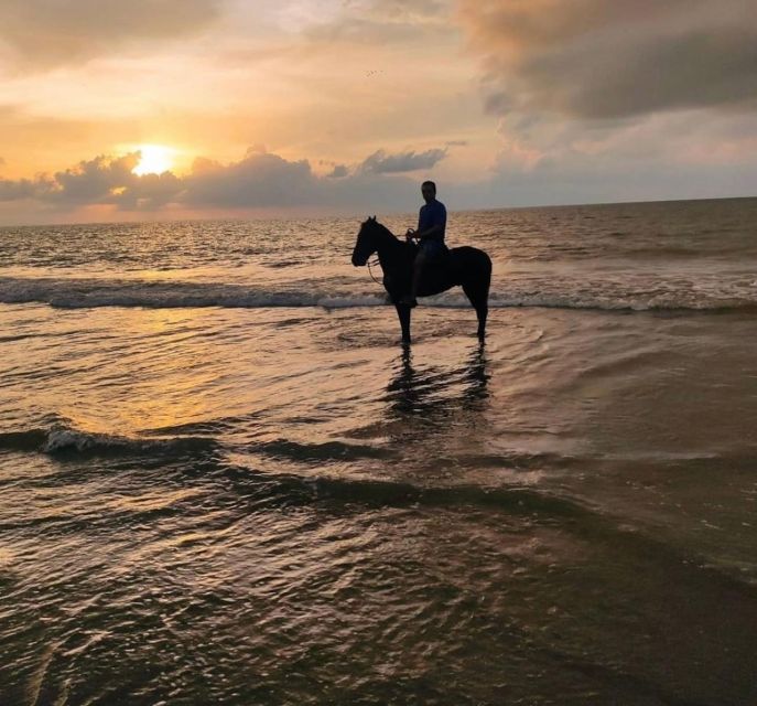 Cartagena: Horseback Ridding Excursion on the Beach - Payment Flexibility