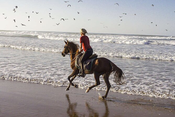 Cartagena: Horseback Riding Along The Beach (Dont Overpay) - Cancellation Policy and Refunds