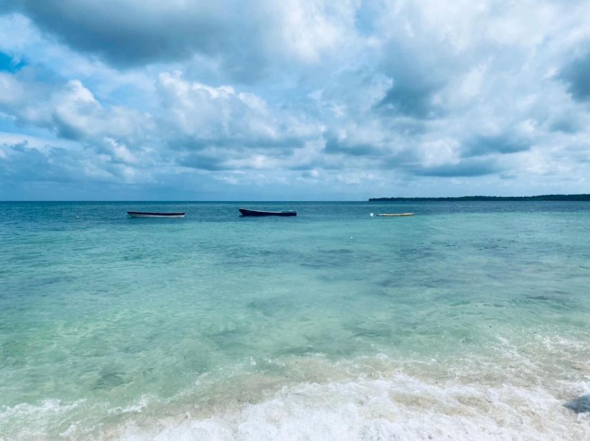 Cartagena: LUMINOUS PLANKTON, Playa Blanca, Lunch and Snack - Full Description