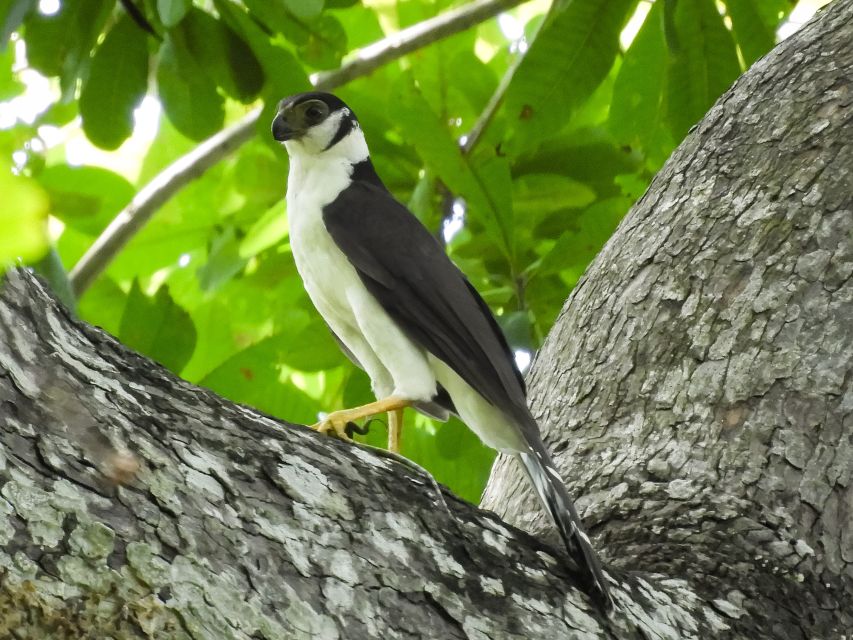 Cartagena: Private Bird-Watching Tour With Breakfast - Customer Reviews