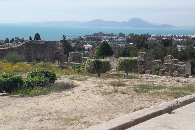Carthage and the Artist Village 'Sidi Bou Said' Are Located Near Tunis or Hammamet - Tunis: Vibrant Capital City