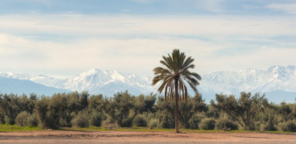 Casablanca Layover to Marrakech With Round-Trip Transfer - Full Description