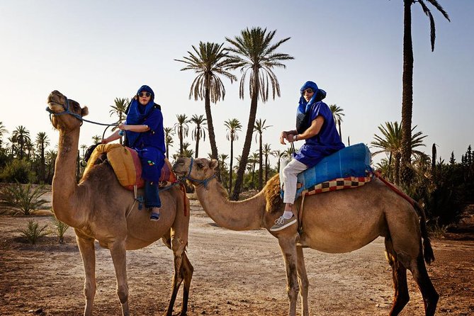 Casablanca to Marrakech Day Trip With Camel Ride - Cancellation Policy