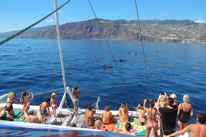 Catamaran Sunset Cruise From Funchal - Pricing and Availability