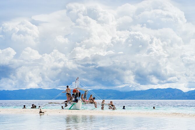 Cebu: Moalboal Sardine Run & Turtle Snorkeling Adventure Private - Last Words