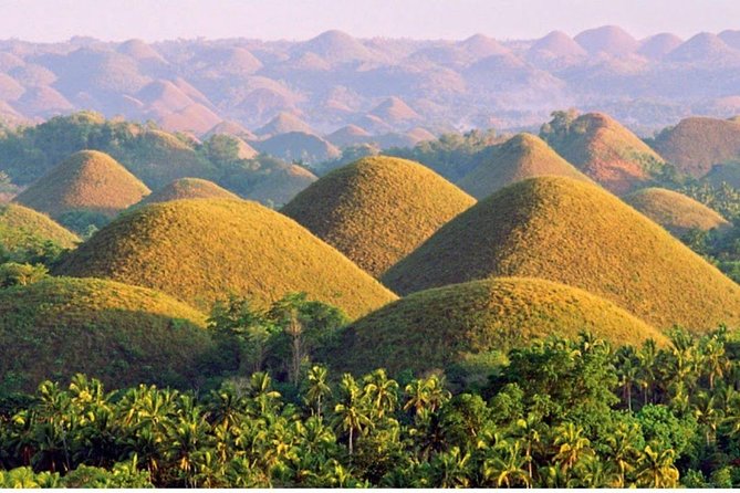 Cebu to Bohol Day Trip With Loboc River Lunch - Bohol Attractions to Explore