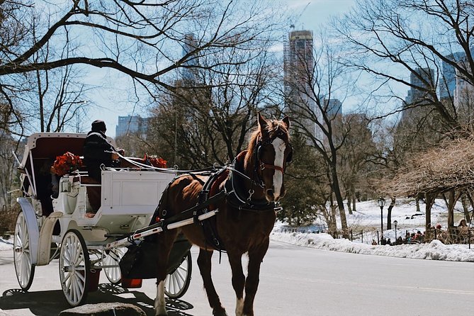 Central Park New York - Exclusive Guided Walking Tour - Meeting and Pickup Details