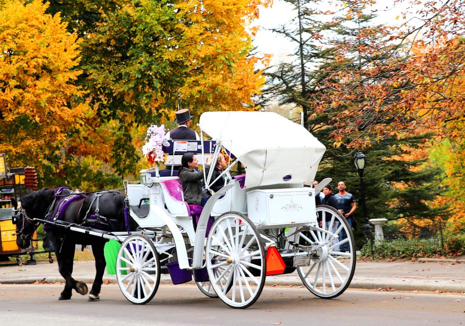 Central Park: Short Horse Carriage Ride (Up to 4 Adults) - Central Park Journey