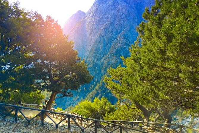 Chania Full-Day Samaria Gorge Easy Tour  - Crete - Tour Options