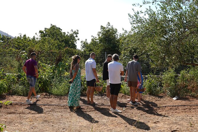 Chania Sourdough Bread Baking Class Olive Oil Tasting - Tasting Session