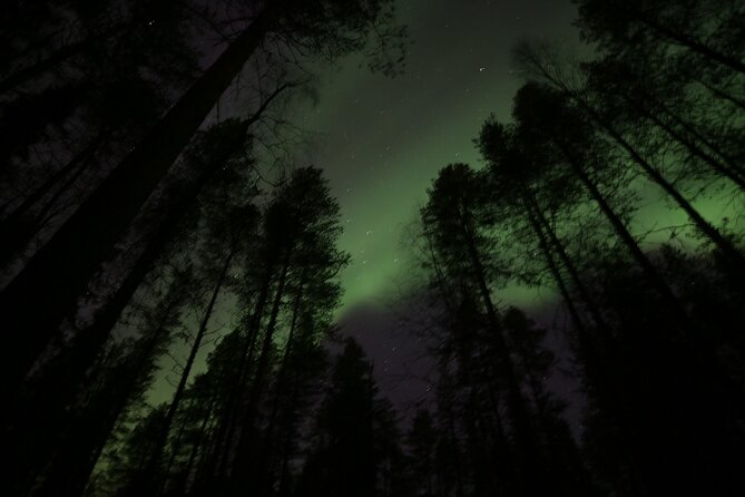 Chasing the Magic Northern Lights in Rovaniemi in a Small Group - Cold Weather Clothing Provided