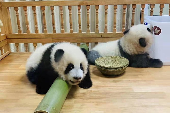 Chengdu Panda Base, Panda Post, Panda Sculpture - Exploring Panda Sculptures