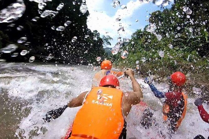 Chiang Mai ATV White Water Rafting and Elephant Sanctuary Full-Day Trip - Pricing and Terms