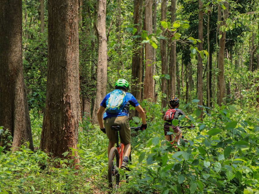 Chiang Mai: Boat Ride and Cycling Tour to Sticky Waterfall - Cycling Adventure Through Teak Forests