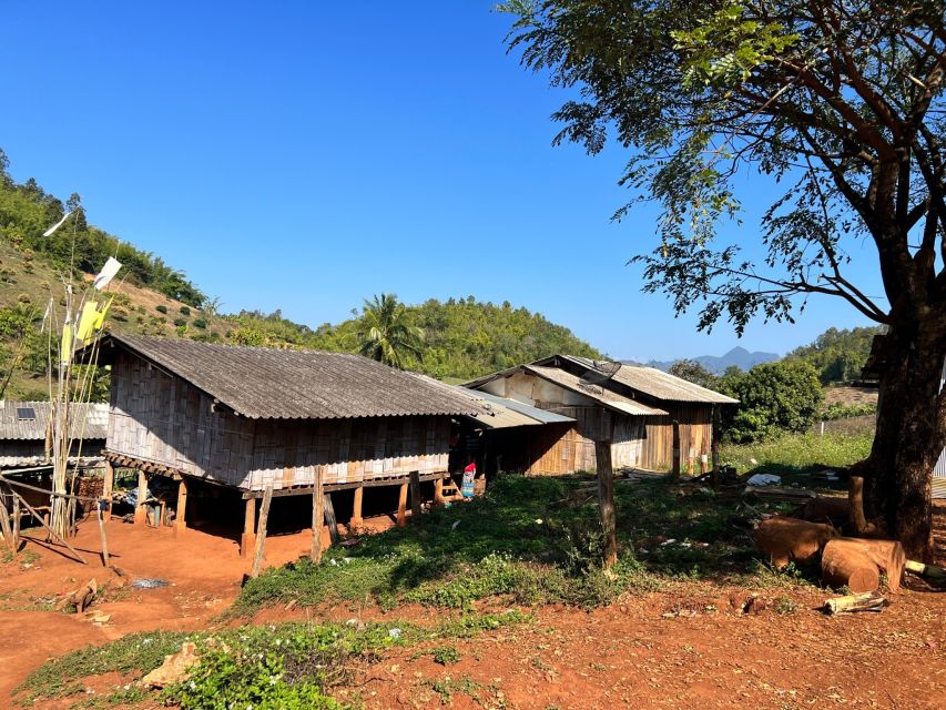 Chiang Mai: Chiang Dao Cave, Sticky Waterfall With Longneck - Logistics