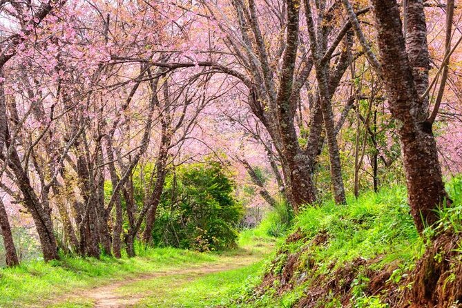 Chiang Mai - Doi Inthanon Full Day Tour - Booking Information