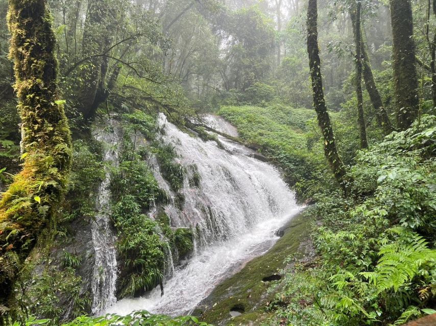 Chiang Mai: Doi Inthanon National Park Tour & Waterfall Trek - Nature Trail Experience