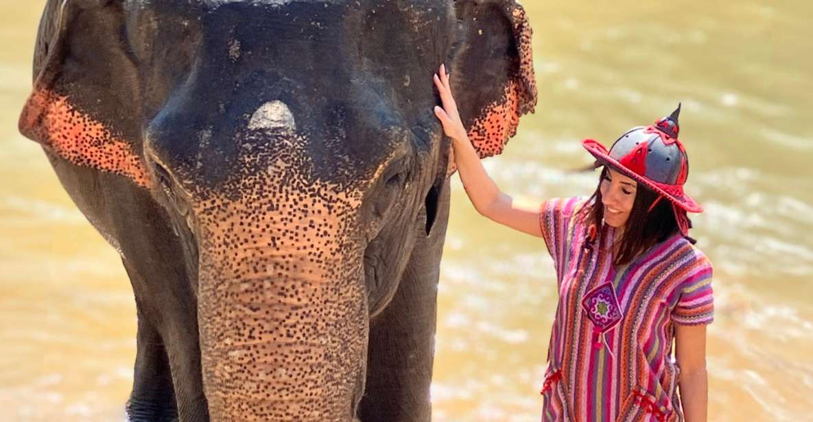 Chiang Mai : Elephant Care & Long Necked Village - Inclusions