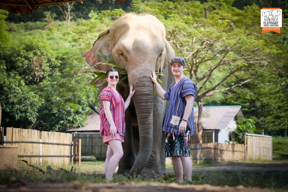 Chiang Mai: Elephant Jungle Sanctuary With Lunch & Transfer - Activity Description