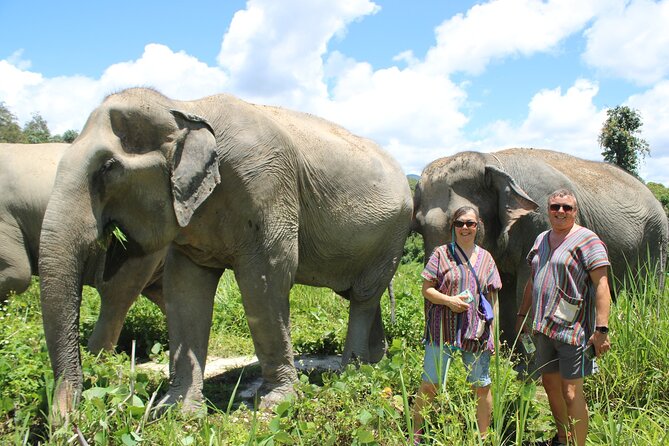 Chiang Mai Elephant Sanctuary Small Group Ethical Tour - Traveler Amenities