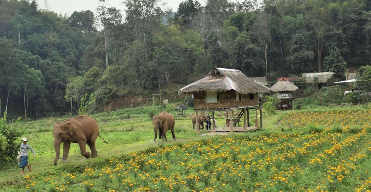 Chiang Mai: Elephants, Hill Tribe Stay, Rafting, Waterfall - Reservation Information