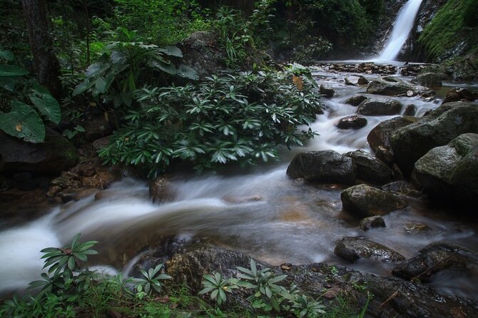 Chiang Mai Exotic Excursion Unseen Miracle of Faith To Pupadang Lampang Temple - Cancellation Policy Information