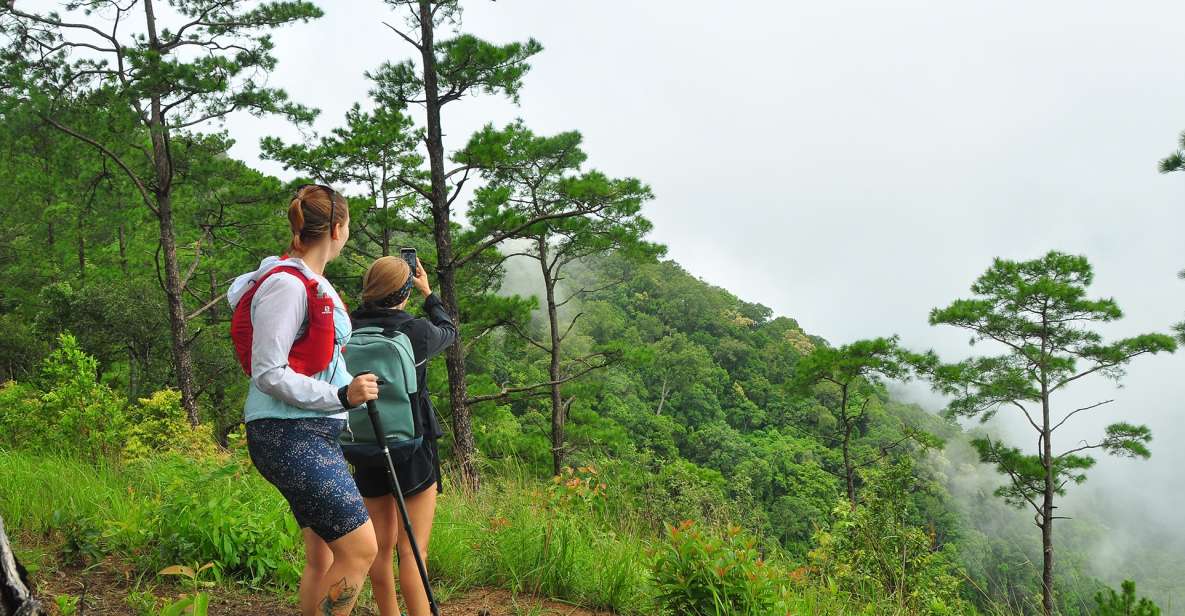 Chiang Mai: Full-Day Hiking Tour by Trailhead - Hiking Route Highlights