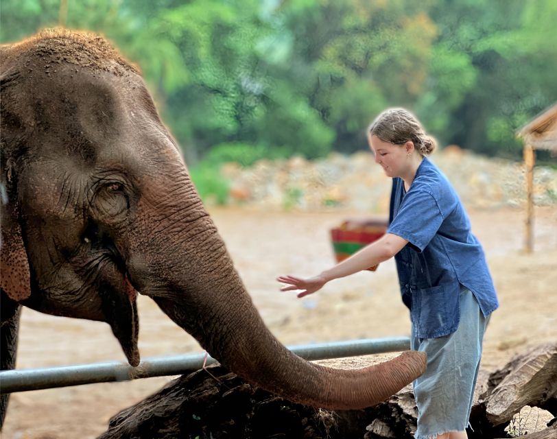 Chiang Mai : Highlight in One Day - Ban Den Temple Visit