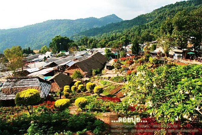 CHIANG MAI: Join Tour Half Day Doi Suthep Meo Village (Doi Pui) - Cancellation Policy Overview
