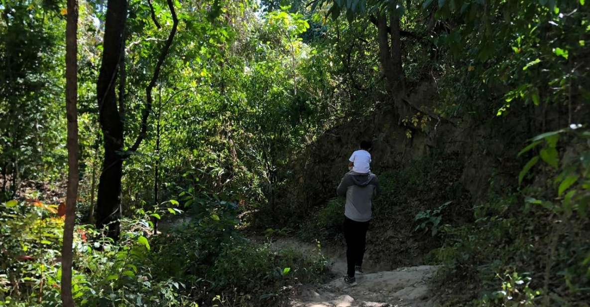 Chiang Mai Monk's Trail Wat Pha Lat & Visit Wat Doi Suthep - Visit Details