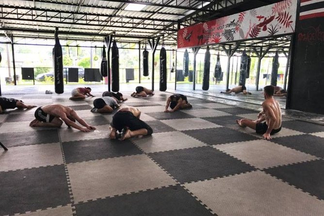 Chiang Mai Muay Thai Boxing Experience - Work Out Amidst Beautiful Scenery