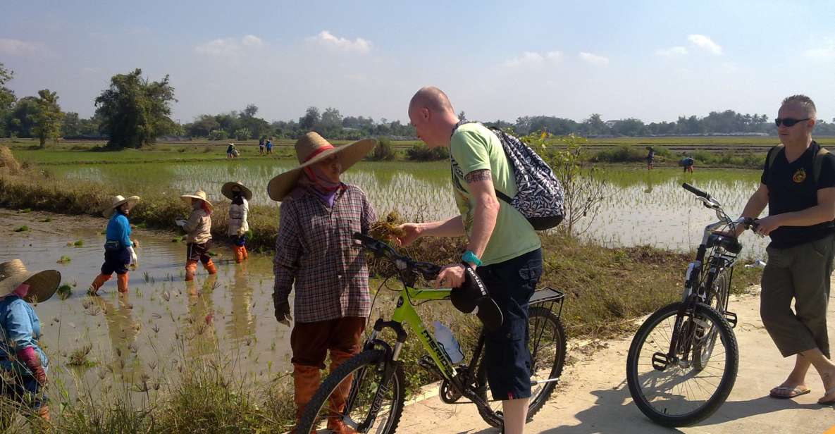 Chiang Mai Paradise Full Day Bicycle Tour - Booking Information