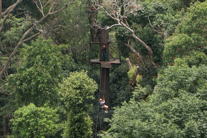 Chiang Mai Zip Line Experience - Ratings and Reviews