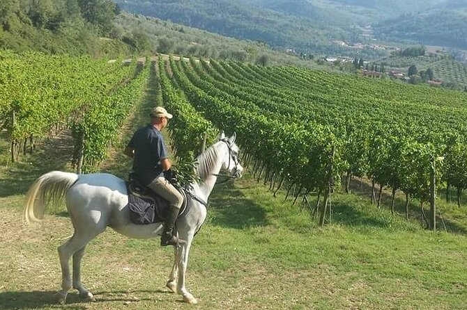 Chianti Region Horse Riding and Tuscan Lunch From Florence - Cancellation Policy