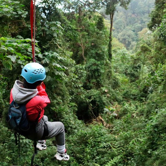 Chicaque Foggy Forest Hike - Conservation Efforts