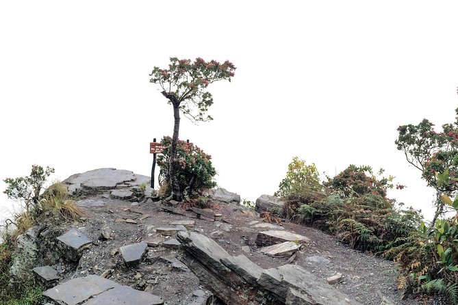 Chicaque National Park - Last Words