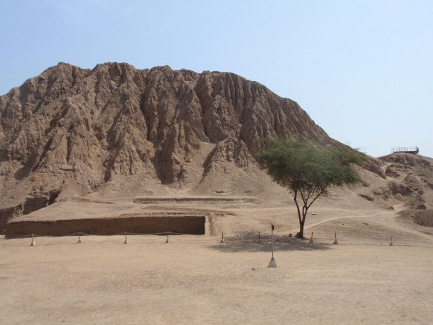 Chiclayo: Tomb of the Lord of Sipan and Site Museum Day Tour - Experience Highlights