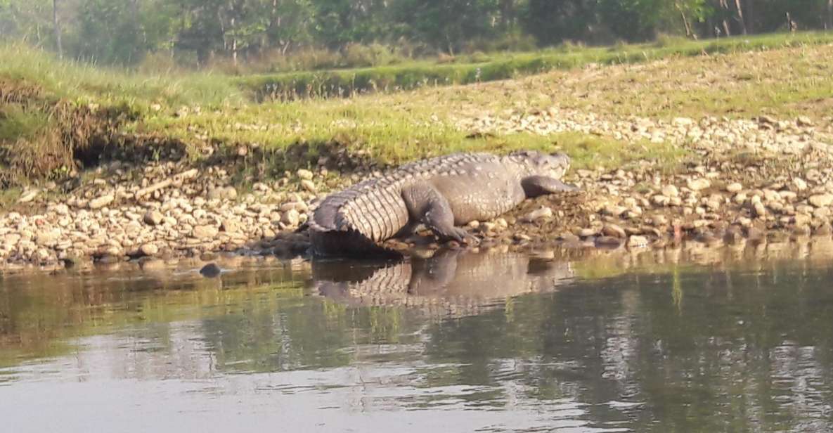 Chitwan National Park Safari - Participant & Date Selection