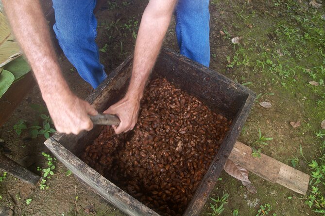 Chocolate and Farm Tour With Local Tico Family - Meet the Local Tico Family