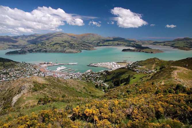Christchurch Private Luxury Full Day Tour - Tour Highlights and Reviews