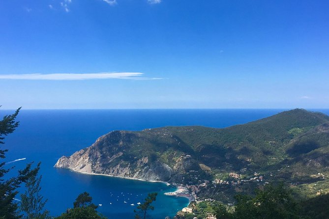 Cinque Terre and Pisa Private Tour From Livorno - Tour Operations